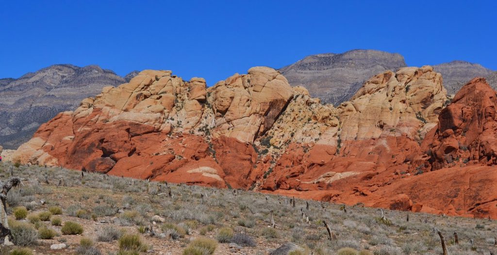 Red Rock Canyon Nevada 029