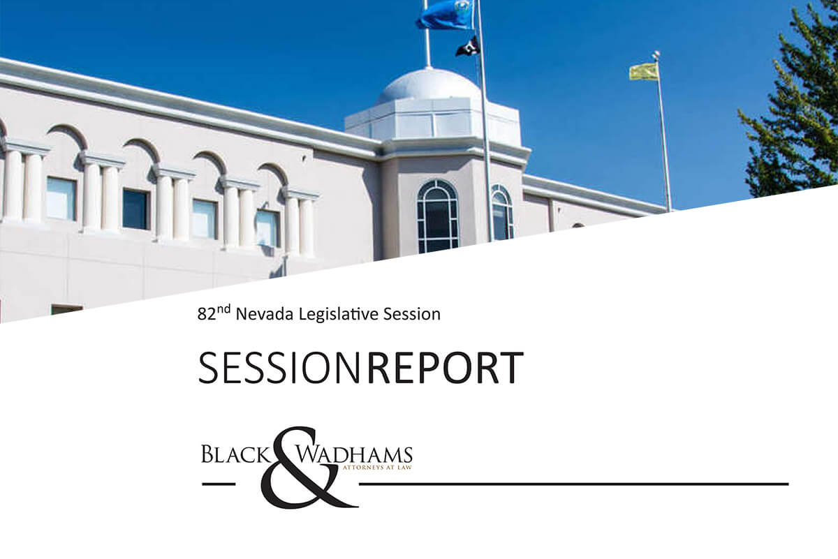 session report